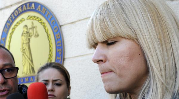 afacerista udrea 10 million dollar baby