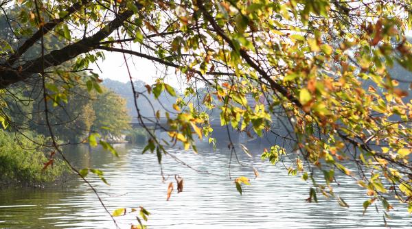 prognoza meteo cum va fi vremea pe 3 4 si 5 noiembrie