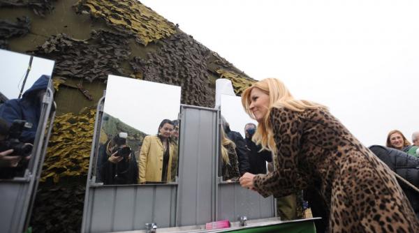 ce propunere are elena udrea pentru functia de premier