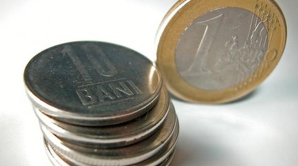 leul e la pamant pentru cat timp