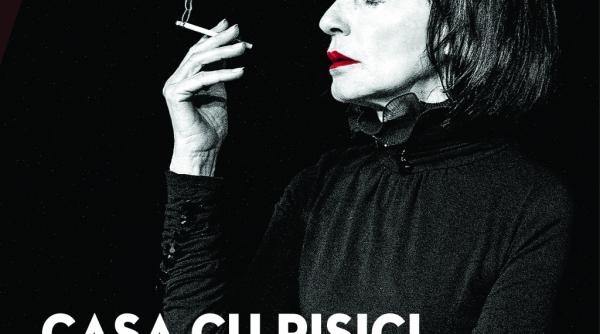 casa cu pisici la teatrul foarte mic