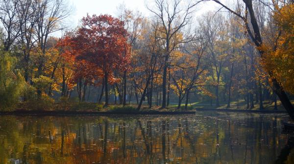 prognoza meteo cum va fi vremea in urmatoarele 7 zile