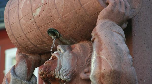 viticultor maghiar comdamnat la 7 ani de inchisoare pentru ca a otravit involuntar un hot