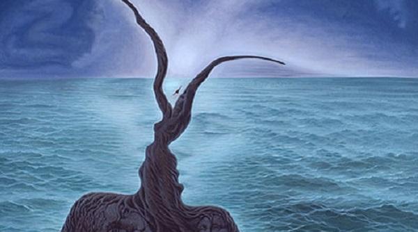 mistere totul despre sufletele pereche