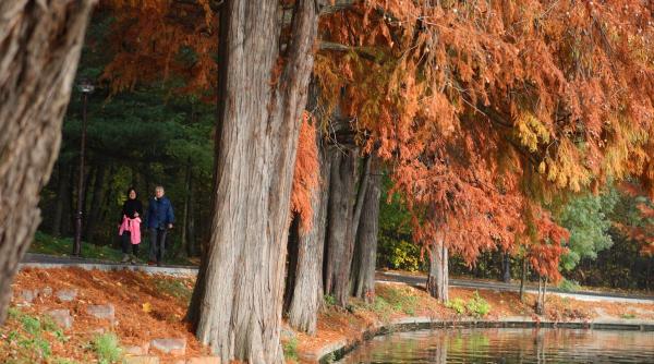 prognoza meteo cum va fi vremea pe 13 14 si 15 noiembrie