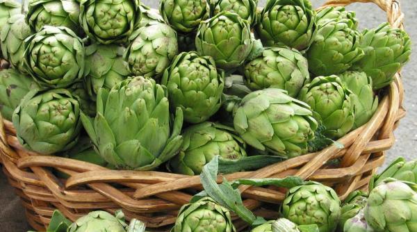 tratamente naturiste anghinarea leguma cu proprietati vindecatoare 9 motive pentru care trebuie consumata frecvent