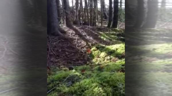 video cele mai bizare imagini ne arata ca si cum pamantul ar respira