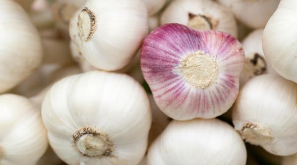 consumati un catel de usturoi pe stomacul gol si rezultatele va vor uimi