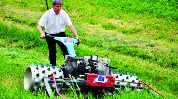 programul guvernarii minimaliste pe repede inainte