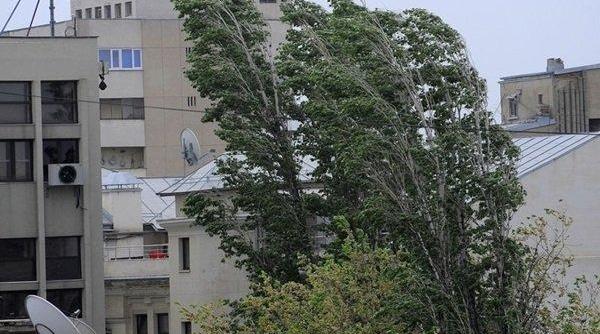 avertizare meteo cod galben de vant in judetul satu mare