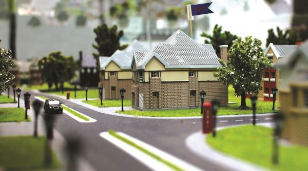 curte si casa la gata oferta castigatoare