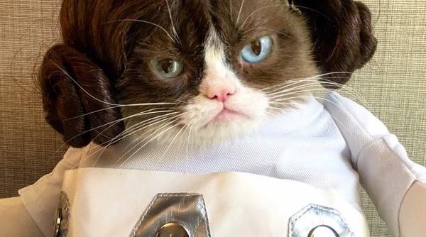 ce au facut belgienii dupa ce politia le a cerut sa nu divulge pe internet informatii despre operatiunile antiteroriste