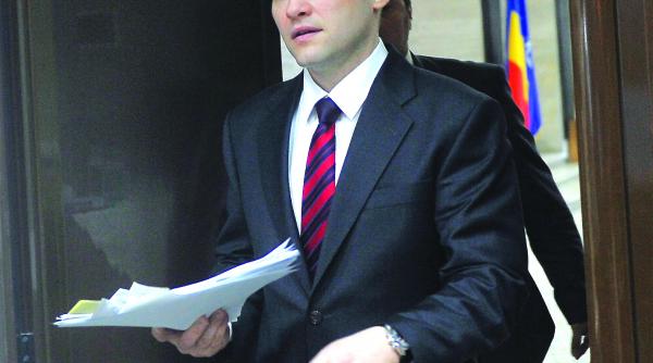 1 decembrie angoasant pentru sova