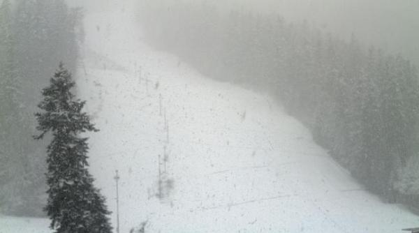 ninge ca n povesti pe valea prahovei si in poiana brasov vezi imagini live