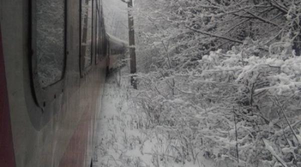 un copac a cazut peste linia ferata intre predeal si timisu de sus traficul feroviar e blocat