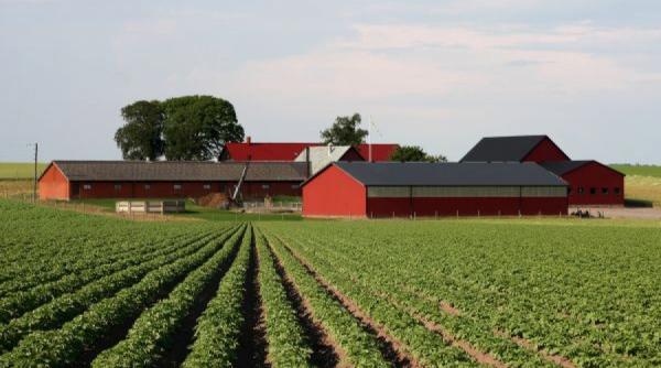 s a modificat legea fermelor afla care este noua clasificare