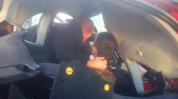 deputatul ciuhodaru si a intrerupt calatoria pentru a acorda ajutor medical intr un cumplit accident