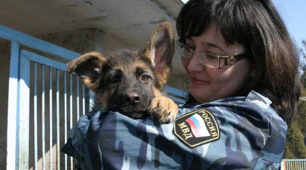 franta primeste cadou un pui de ciobanesc german oferit de rusia dupa ce diesel a pierit in timpul actiunilor de cautare a teroristilor