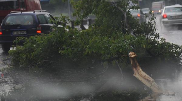 circulatia pe dn 13 b gheorgheni praid a fost oprita pentru indepartarea arborilor de pe carosabil