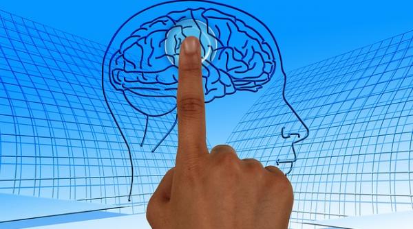 obezitatea se afla in creier potrivit expertilor