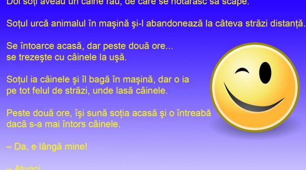 bancul zilei atentie caine rau si stapan prost