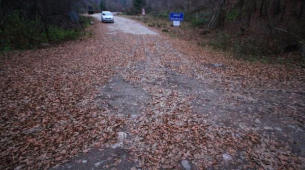 dna cerceteaza proiectul soselei blocata in padure