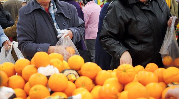 siria va exporta 700 000 de tone de citrice rusiei an locul fructelor din turcia