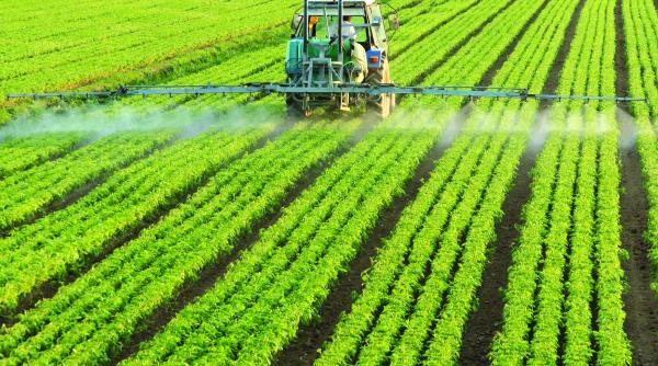 de ce cumpara gigantii companiile romanesti