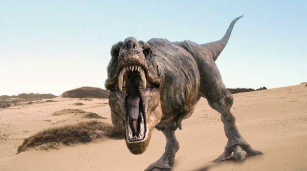 teorie inedita despre disparitia dinozaurilor