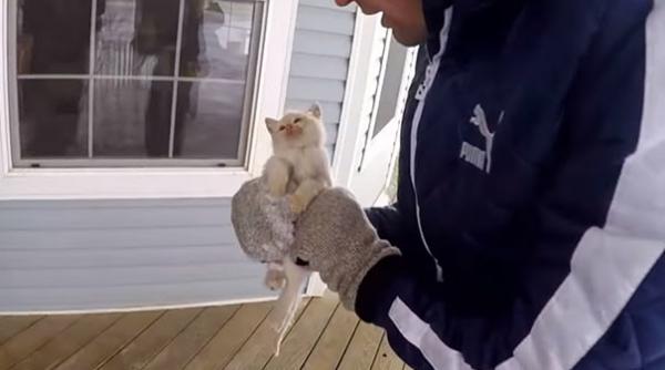 video l au gasit aproape mort in zapada