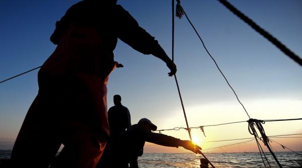 video un pescar brazilian a prins un biban urias