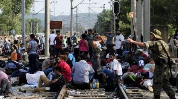 germania numarul refugiatilor cu pasaport sirian falsificat mai putin important decat se estimase