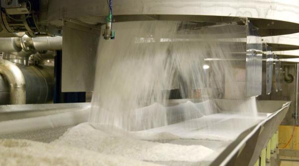 india intentioneaza sa arunce pe piata o cantitate enorma de zahar traderii sunt in panica