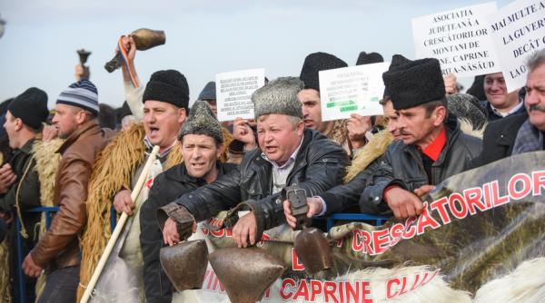 dragnea va solicita grupurilor psd sa initieze un proiect de modificare a legii vanatorii