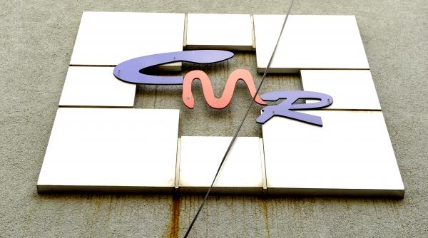 scandalul alegerilor pe viata la cmr