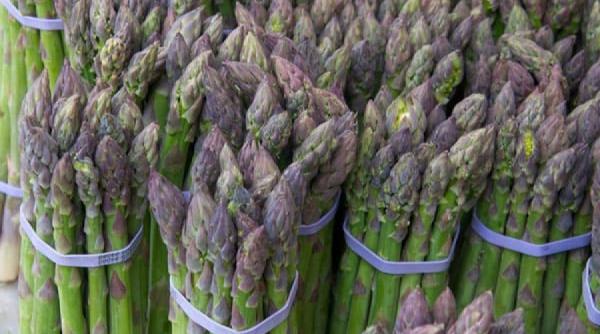 tratamente naturiste sparanghelul leac in 50 de boli