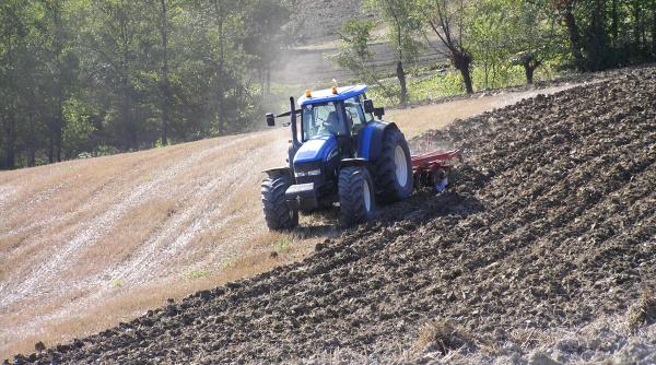 taranii romani saracii europei