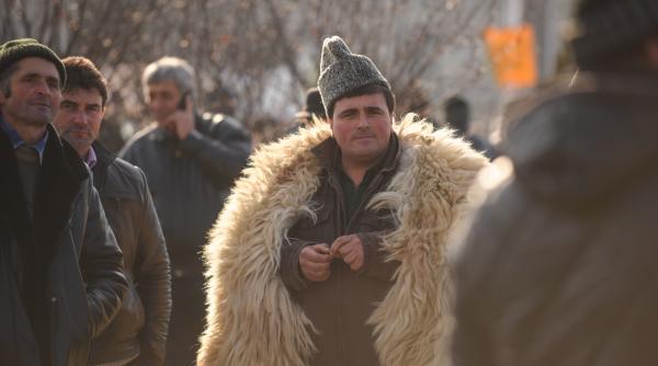 victoria ciobanilor legea se suspenda