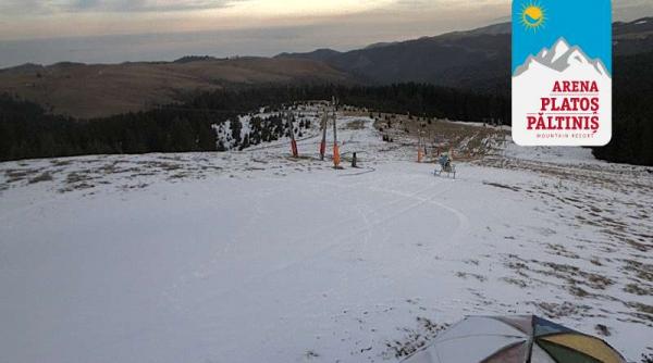 webcam ninge la paltinis vezi imagini live cu tunurile de zapada de la arena platos