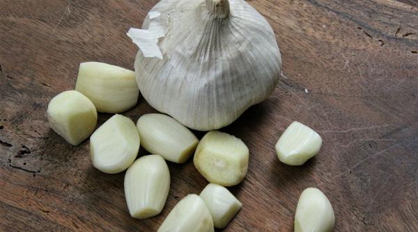 usturoiul alimentul minune care ar trebui prescris de medici