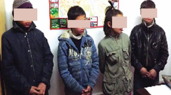 fenomen ingrijorator talharii comise de minori care nu raspund penal