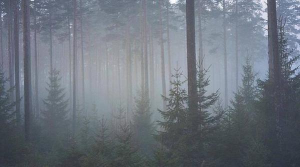 craciunul din nordul europeni va fi in atmosfera de primavara