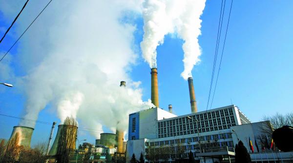 elcen da in judecata primaria