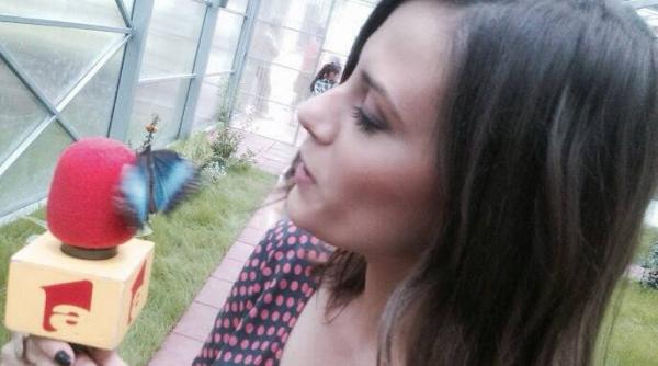 tragedie in ajun de craciun o vedeta tv a murit intr un accident rutier