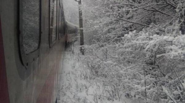 cfr calatori reduceri importante la biletele pentru trenurile zapezii