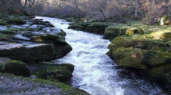 raul capcana care inghite oameni nimeni nu a scapat cu viata din mrejele lui