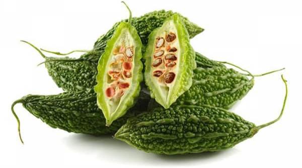 tratamente naturiste tartacuta amara sursa pretioasa de insulina vegetala afla care sunt cele 8 boli pe care le vindeca aceasta leguma