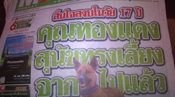 moartea unui caine ocupa primele pagini ale cotidianelor din thailanda