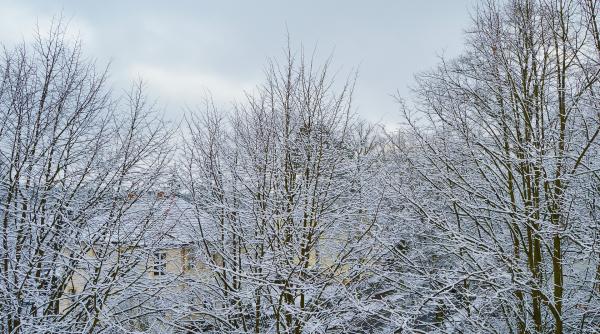 alerta pentru calatoriile in turcia vineri va fi haos in istanbul din cauza zapezii