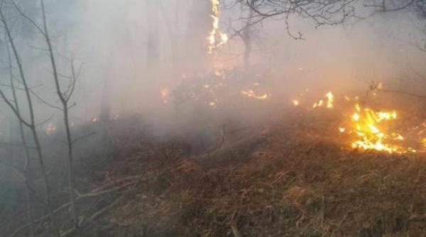 incendiu pe o suprafata de 10 hectare cu stuf si vegetaie uscata in zona cetatii histria